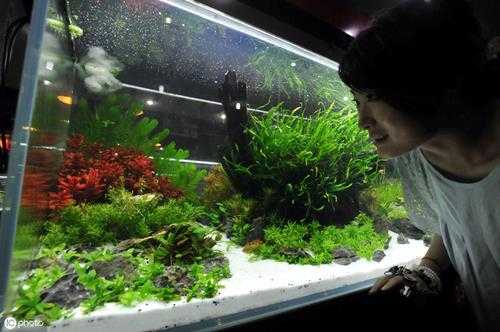 客厅鱼缸放在哪里风水好,鱼缸摆在以下几个地方招财,别错过!